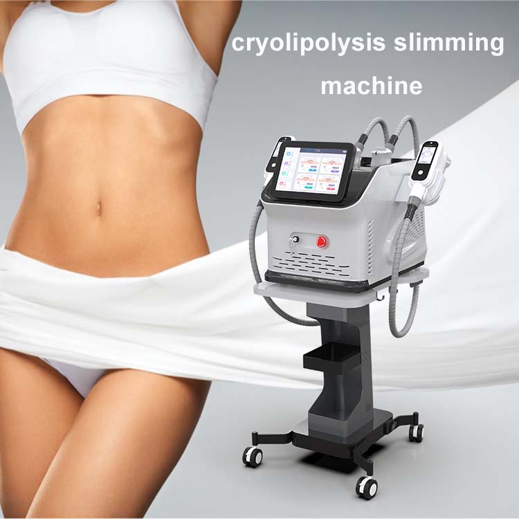 portable cryolipolysis slimming machine1